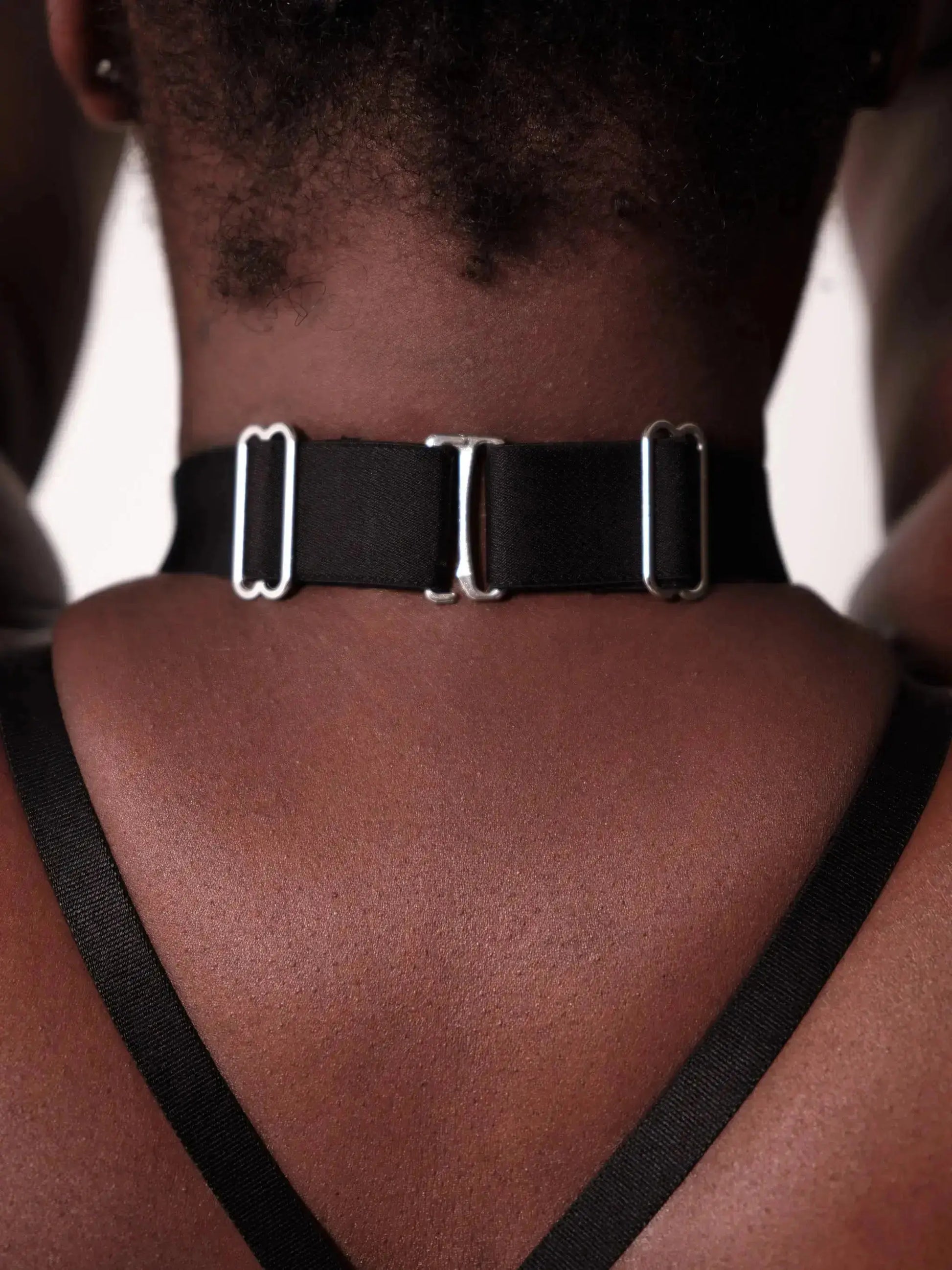 Sheer Mesh collar with adjustable choker and a silver o-ring.