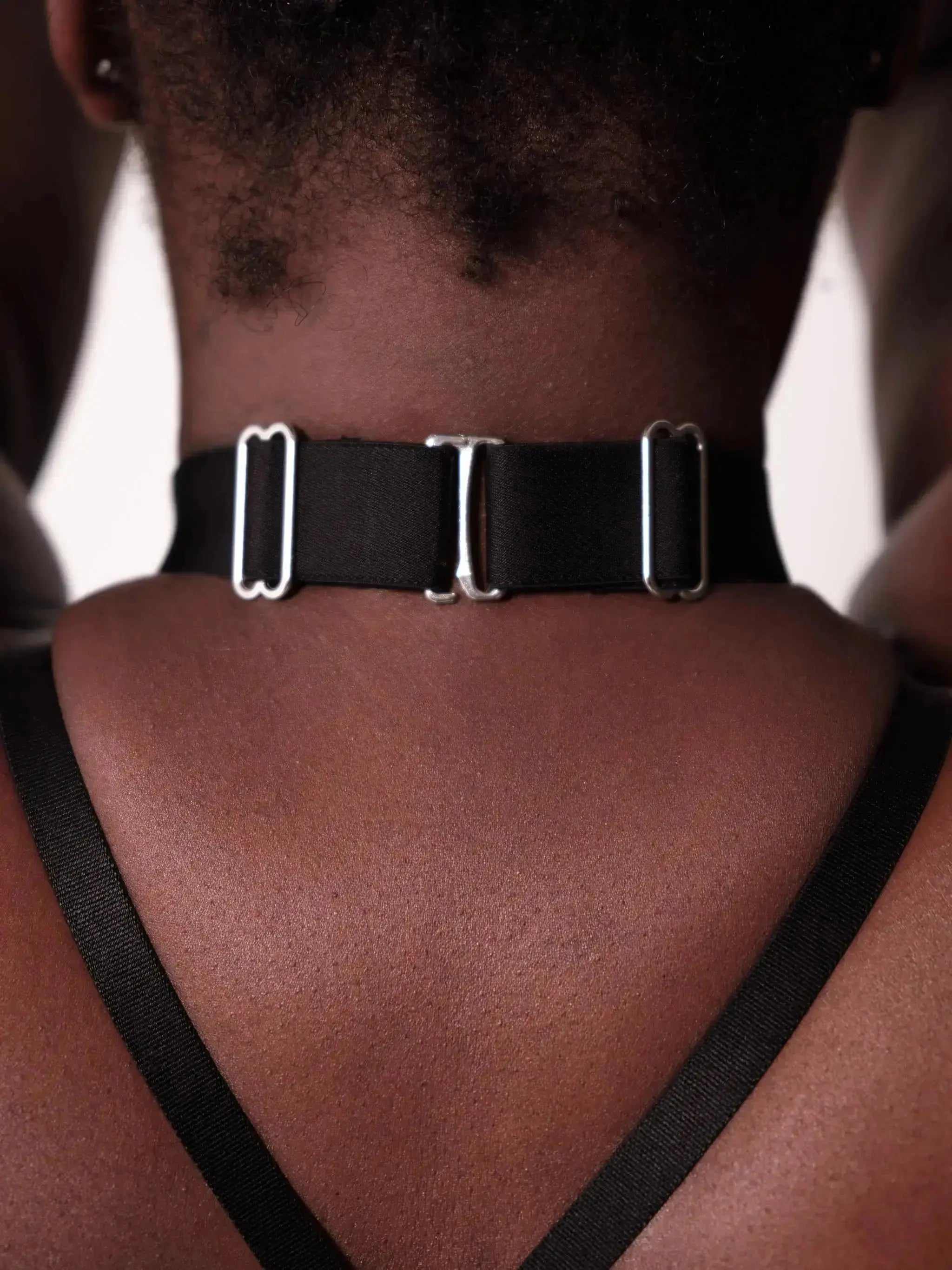 Sheer Mesh collar with adjustable choker and a silver o-ring.
